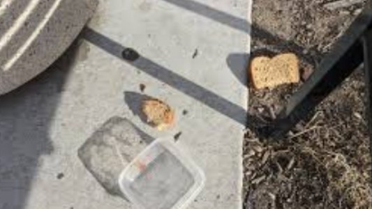 Conmoción en La Plata: iba comiendo un sandwich por la calle, se desvaneció y murió en el acto