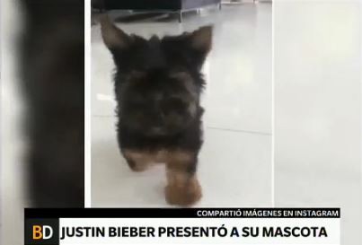Justin Bieber presentó a su nueva mascota