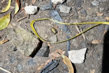 Los Hornos: un policía se tiroteó con motochorros, uno huyó y el otro murió