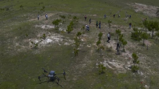 México usa drones para dispersar semillas y reforestar bosques quemados