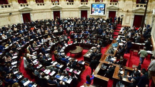 Vetos presidenciales: la oposición logró quorum en Diputados con la presencia de dos libertarios