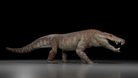 Descubren un nuevo cocodrilo en la Patagonia que convivió con los últimos dinosaurios