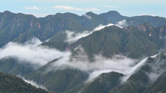 La Corte Suprema condenó al Estado nacional y a Jujuy por daño ambiental en el Parque Nacional Calilegua