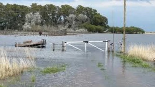 Declaran la emergencia agropecuaria en Buenos Aires y San Juan