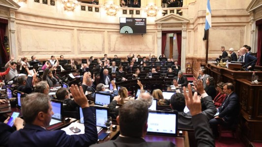 El Senado rechazó el veto en Discapacidad y la ley deberá ser promulgada