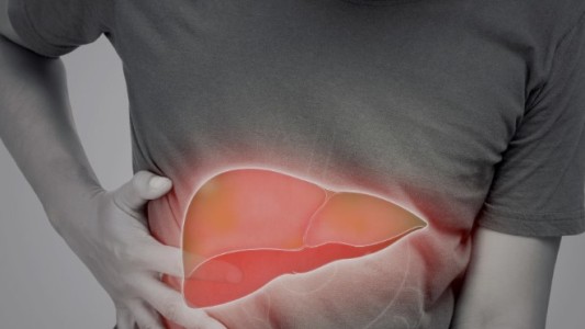 Descubren  una molécula que protege el hígado ante la hepatitis fulminante