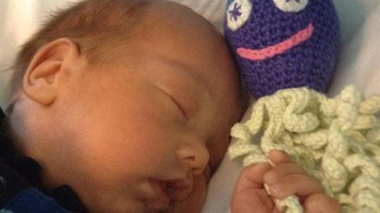 Los pulpitos de crochet que contienen y cambian la vida de los bebés prematuros