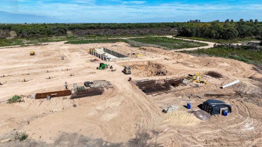 Santa Fe denunció a una empresa que desmontaba un bosque nativo de 50 hectáreas