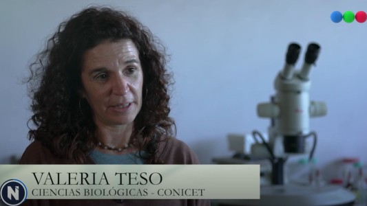 Pequeños Grandes Sueños: Valeria, una de las reconocidas investigadoras del CONICET