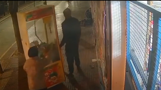 Video: los ladrones de peluches