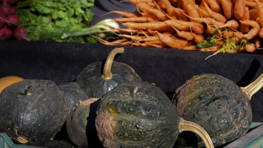 La Facultad de Agronomía abre su predio este fin de semana para una nueva edición de la Feria del Productor al Consumidor