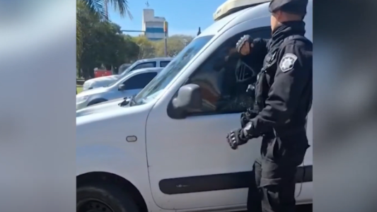 Rescataron a dos perros encerrados en una camioneta