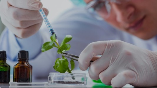 La UBA lanza la Licenciatura en Biotecnología