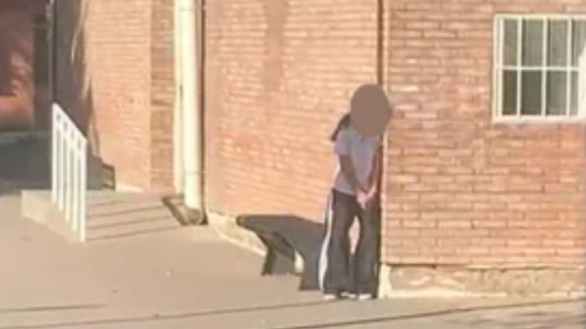 El comunicado del Ministerio de Seguridad de Mendoza por la adolescente atrincherada