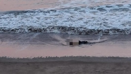 Encontraron a una mujer muerta en una playa de Mar del Plata