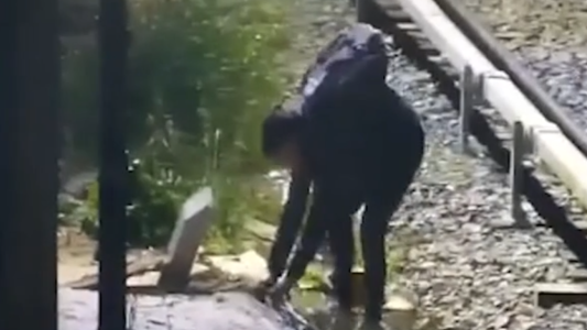 Video: intentó robar cables en la Línea Mitre y terminó detenido