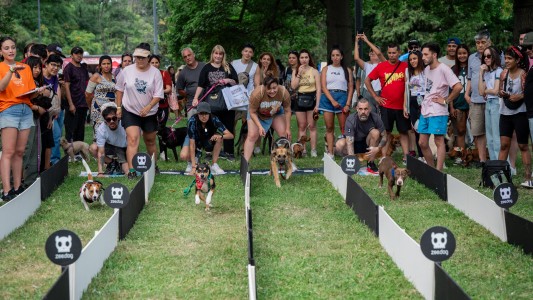 Llega la tercera edición de “Mascotear”, el festival para las mascotas y sus humanos
