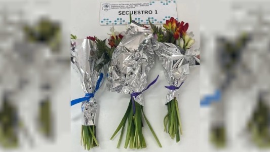 La Plata: robó flores para su enamorada, pasó corriendo frente a la Comisaría y fue detenido