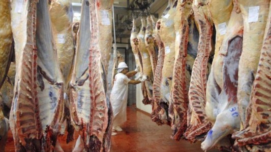 El Gobierno suspendió también las retenciones a la carne vacuna y aviar