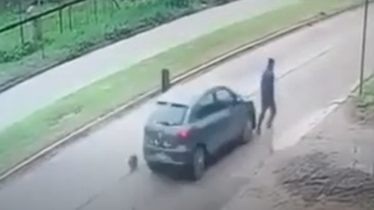 Huyó tras atropellar a un motociclista y a un peatón