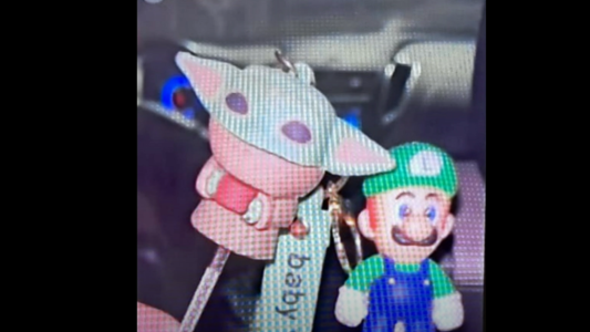 Desaparición y muerte: el último posteo de las jóvenes desde de la camioneta