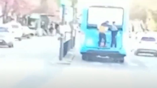 Video: nenes en peligro