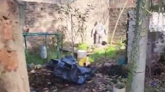 Video: así es por dentro la casa del horror donde torturaron y asesinaron a Lara, Brenda y Morena