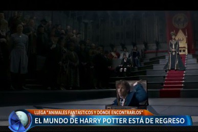 El mundo de Harry Potter, de regreso