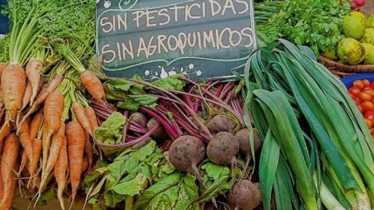 Producción sustentable: advierten de la necesidad de una mirada integral sobre la alimentación, la salud, el ambiente y los territorios