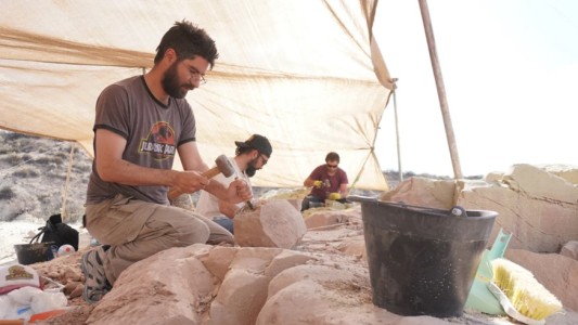 Tras la expedición en el fondo del mar, el CONICET buscará dinosaurios "en vivo" en la Patagonia