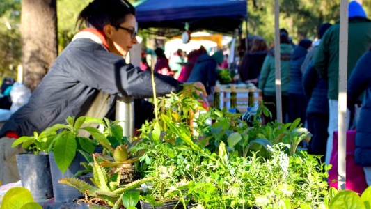 La Feria de Agronomía festeja su 12° aniversario con actividades gratuitas para toda la familia