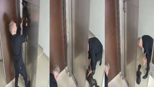 Un cantante salvó a un perro de morir ahorcado con RCP