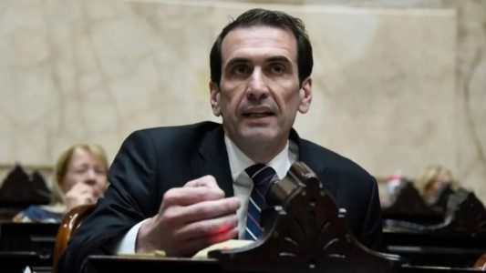 Asaltaron y golpearon al candidato libertario Pablo Cervi en Neuquén