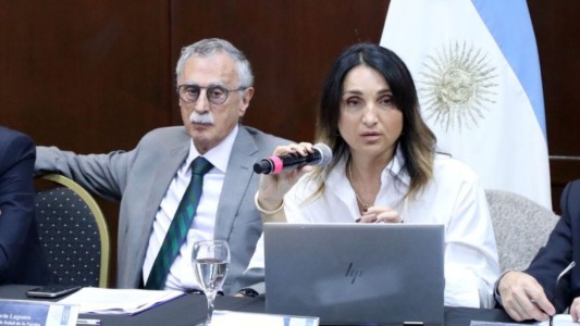 Más cambios en el Gobierno: renunció la viceministra de Salud Cecilia Loccisano
