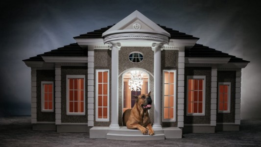 La nueva moda entre los millonarios es comprarle estas mansiones de lujo a sus perros