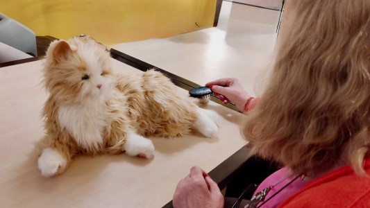 Aseguran que las mascotas robot ayudan a reducir las emociones negativas en personas con Alzheimer