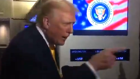 "Silencio, piggy": la respuesta de Trump a una periodista que le consultó por el caso Epstein