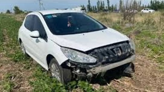 Un carpincho casi provoca una tragedia en Vivoratá
