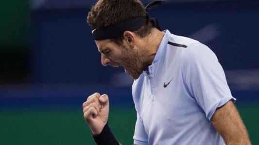 Del Potro está en semifinales de Auckland