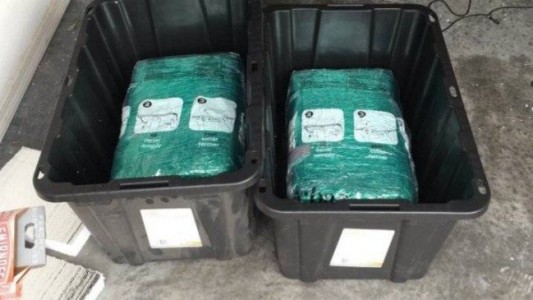 Una pareja hizo una compra por Amazon y recibió por error 29 kilos de marihuana