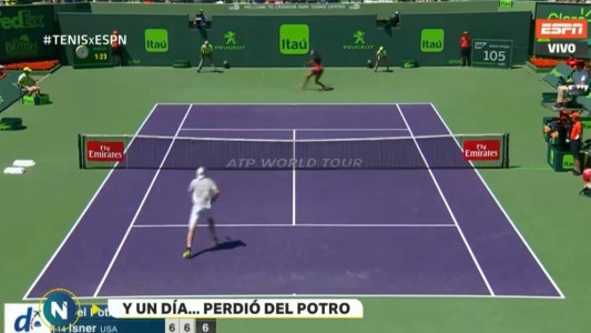 Luego de 15 victorias consecutivas, Juan Martín Del Potro cayó contra John Isner