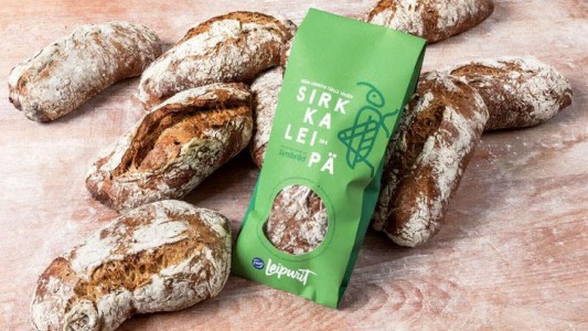 Lanzaron al mercado el primer pan con insectos