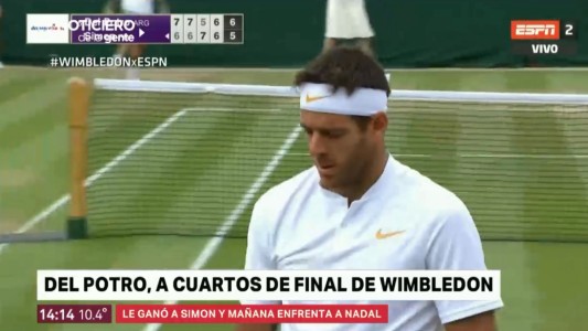 Del Potro avanza a paso firme en Wimbledon