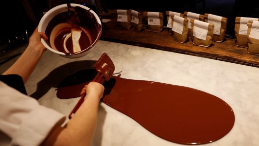 Alarma mundial: el chocolate se podría acabar en 40 años