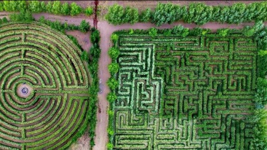 Mendoza: sembró 100 mil plantas y construyó laberintos en su jardín para vecinos y turistas
