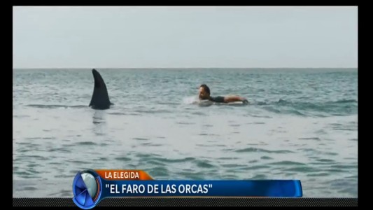 La elegida del cine: El faro de las orcas