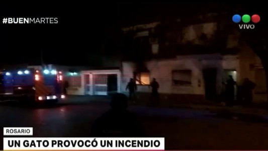 Un gato provocó un incendio en Rosario