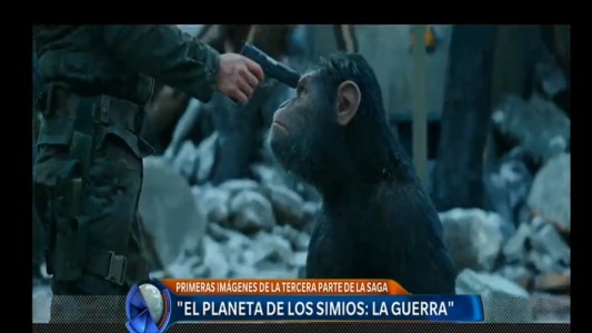 Primeras imágenes de "El planeta de los simios: la guerra"