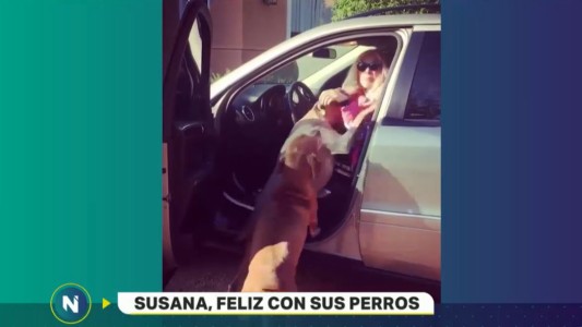 Los perros de Susana, un éxito en las redes sociales