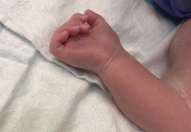 Nació Mirko el hijo de Marley